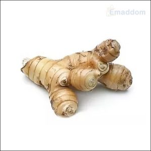 Thai Ada (Ginger Thai)